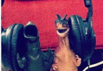 Welcome to Dinovember